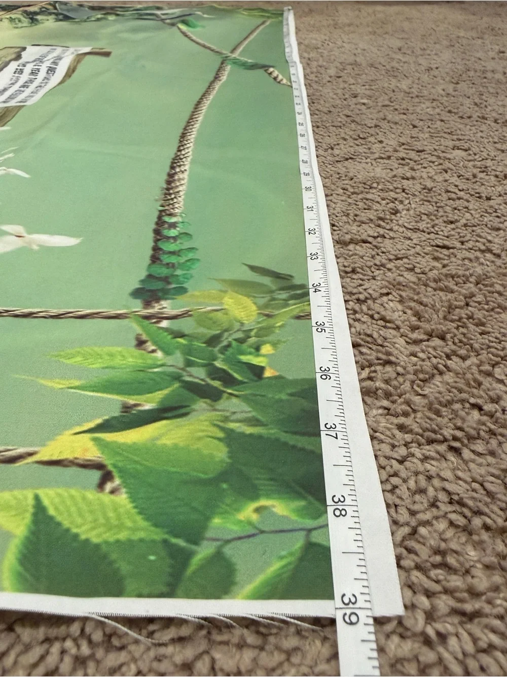 Zoo Backdrop